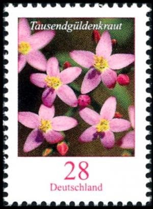 Colnect-4295-599-Flowers---Centaurium-erythraea---Gentian.jpg