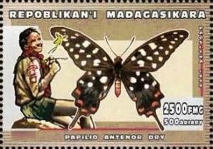 Colnect-5965-029-Madagascar-Giant-Swallowtail-Papilio-antenor.jpg