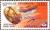 Colnect-1143-445-Indonesia-00-International-Stamp-Exhibition.jpg