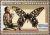 Colnect-5965-029-Madagascar-Giant-Swallowtail-Papilio-antenor.jpg