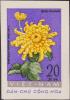 Colnect-2512-885-Chrysanthemum-chrysanthemum.jpg