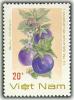 Colnect-1635-569-Eggplant-solanum-Melongena-L.jpg