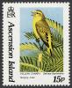 Colnect-853-293-Yellow-Canary-Serinus-flaviventris---Courting-Male.jpg