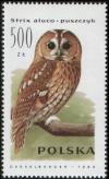 Colnect-1999-889-Tawny-Owl-Strix-aluco.jpg