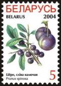 Colnect-1058-270-Sloe-Thorny-plum---Prunus-spinosa.jpg