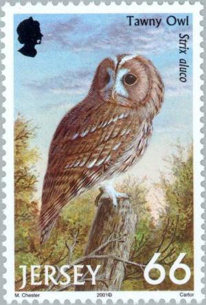 Colnect-127-934-Tawny-Owl-Strix-aluco.jpg