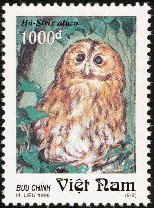 Colnect-1613-136-Tawny-Owl-Strix-aluco.jpg