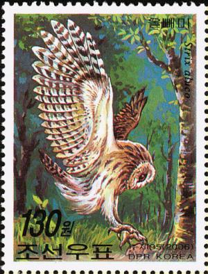 Colnect-1615-858-Tawny-Owl-Strix-aluco.jpg