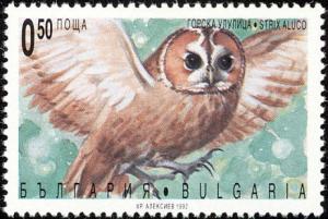 Colnect-1976-622-Tawny-Owl-Strix-aluco.jpg
