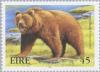 Colnect-129-646-Brown-Bear-Ursus-arctos.jpg