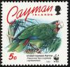 Colnect-1458-120-Cayman-Island-Amazon-Amazona-leucocephala-caymanensis.jpg