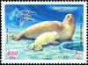 Colnect-1592-139-Caspian-Seal-Phoca-caspica-.jpg