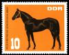 Colnect-1975-058-Stallion-Equus-ferus-caballus.jpg