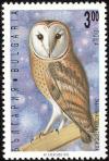Colnect-1976-641-Common-Barn-Owl-Tyto-alba.jpg