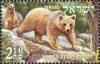 Colnect-2249-941-Brown-Bear-Ursus-arctos.jpg