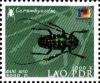 Colnect-2541-497-Longhorn-Beetle-F-Cerambycidae.jpg