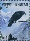 Colnect-3354-989-Common-Raven-Corvus-corax.jpg