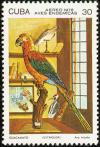 Colnect-3563-225-Cuban-Macaw-Ara-tricolor.jpg