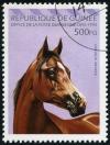 Colnect-3727-002-Brown-Arabian-Horse-Equus-ferus-caballus.jpg