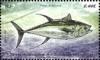 Colnect-3765-811-Yellowfin-Tuna-Thunnus-albacares.jpg