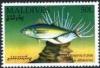 Colnect-4210-444-Yellowfin-Tuna-Thunnus-albacares.jpg