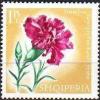 Colnect-452-948-Carnation-Dianthus-caryophyllus.jpg