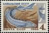 Colnect-4520-086-Baikal-Sturgeon-Acipenser-baeri-baicalensis.jpg