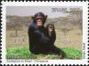Colnect-468-610-Chimpanzee-Pan-troglodytes.jpg