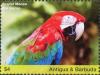 Colnect-4737-357-Red-and-green-Macaw----Ara-chloropterus.jpg