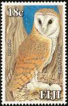Colnect-867-789-Western-Barn-Owl-Tyto-alba.jpg