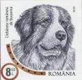 Colnect-6303-154-Romanian-Shepherd-of-Bucovina.jpg