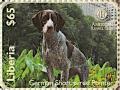 Colnect-7366-513-German-Shorthaired-Pointer.jpg