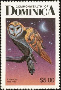 Colnect-1788-030-Common-Barn-Owl-Tyto-alba.jpg