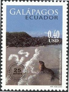 Colnect-883-592-Galapagos-Sea-Lion-Zalophus-wollebaeki-Surf-Foam.jpg