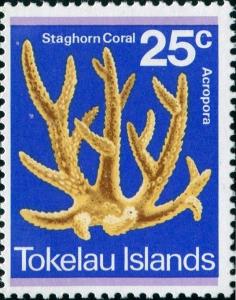 Colnect-4596-244-Staghorn-Coral-Acropora-cervus.jpg