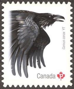 Colnect-3643-911-Common-Raven-Corvus-corax.jpg