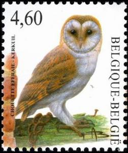 Colnect-4430-942-Common-Barn-Owl-Tyto-alba.jpg