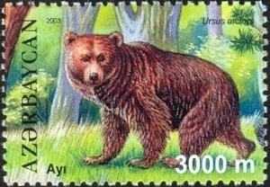Colnect-1598-258-Brown-Bear-Ursus-arctos.jpg