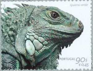 Colnect-182-529-Lesser-Antillean-Iguana-Iguana-delicatissima-.jpg