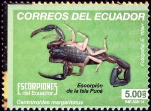 Colnect-2607-863-Bark-Scorpion-Centruroides-margaritatus.jpg