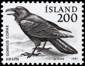 Colnect-4550-043-Common-Raven-Corvus-corax.jpg