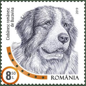 Colnect-5612-038-Romanian-Shepherd-of-Bucovina.jpg