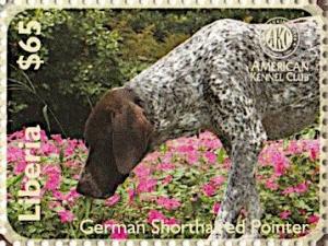 Colnect-7366-515-German-Shorthaired-Pointer.jpg
