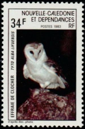Colnect-853-966-Eastern-Barn-Owl-Tyto-alba-lifuensis.jpg