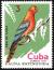 Colnect-2307-531-Cuban-Macaw-Ara-tricolor.jpg