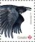 Colnect-3643-906-Common-Raven-Corvus-corax.jpg