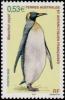 Colnect-888-790-King-Penguin-Aptenodytes-patagonicus.jpg