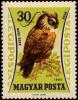 Colnect-812-690-Eurasian-Eagle-owl-Bubo-bubo.jpg