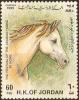 Colnect-1955-075-White-Arabian-Horse-Equus-ferus-caballus.jpg