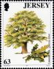 Colnect-6229-213-Common-oak---Quercus-robur.jpg